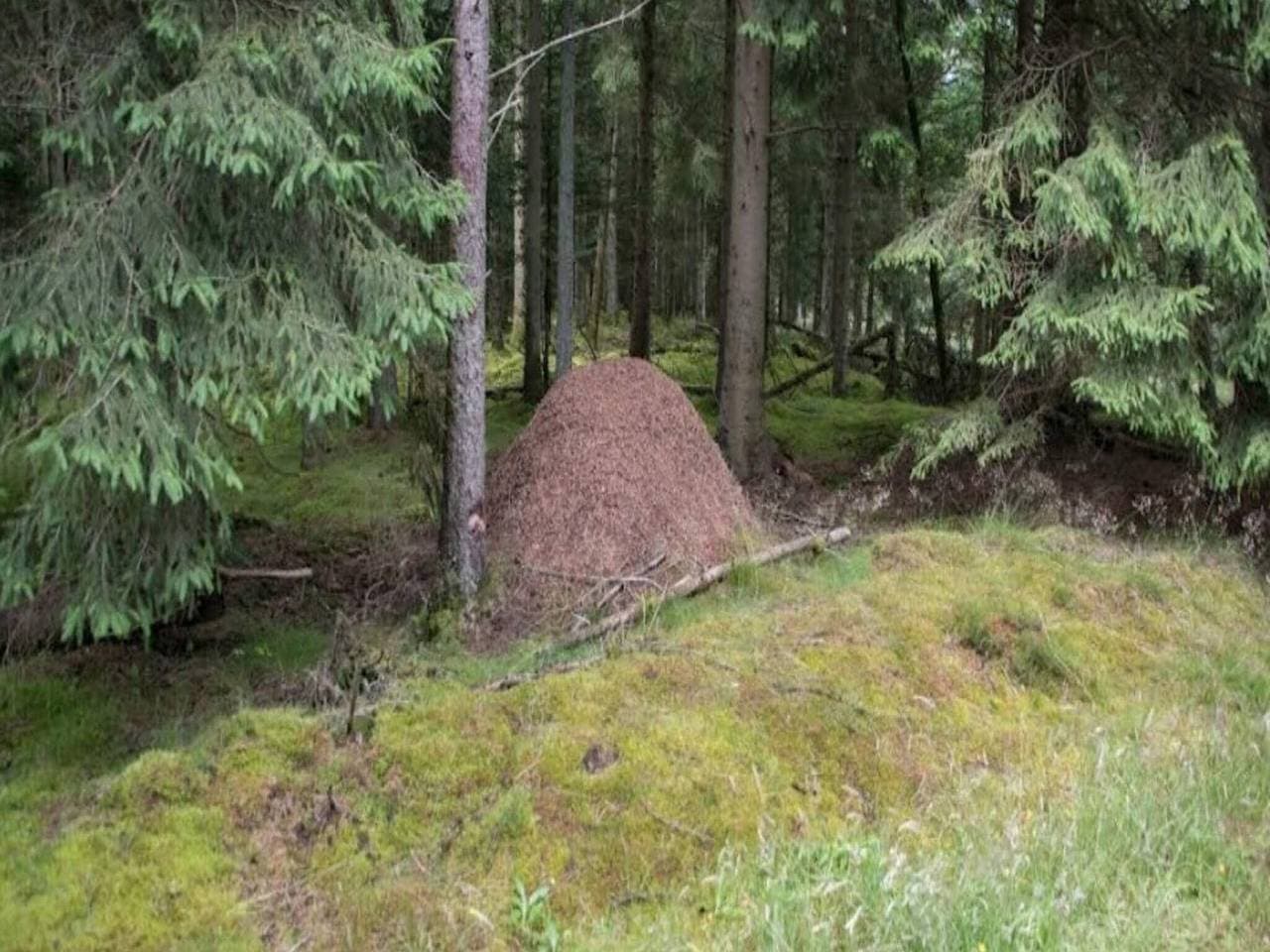 Foto 4 von 39: Luxus-Ruckzug mit Spa