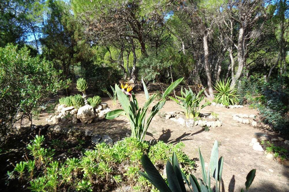 Foto 9 von 26: Haus mit direktem Zugang zum Meer - Porto Pino