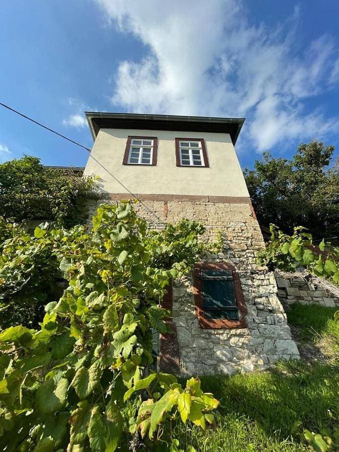 Ferienhaus Traminer im Weinberg 1