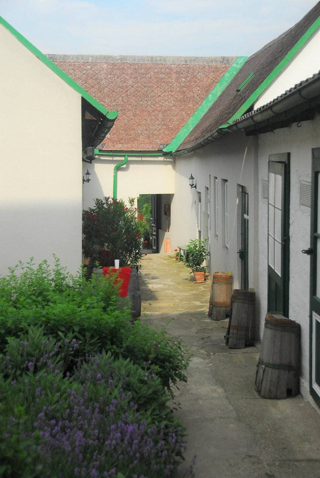 Foto 8 von 24: Apartment 'Bioweingut Hauerhof 99 -1' mit gemeinsamem Garten, Wlan und Klimaanlage