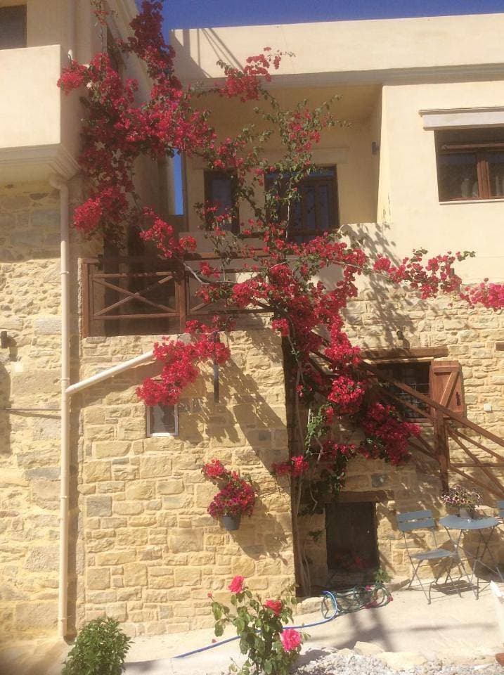 Foto 12 von 42: Holiday Home