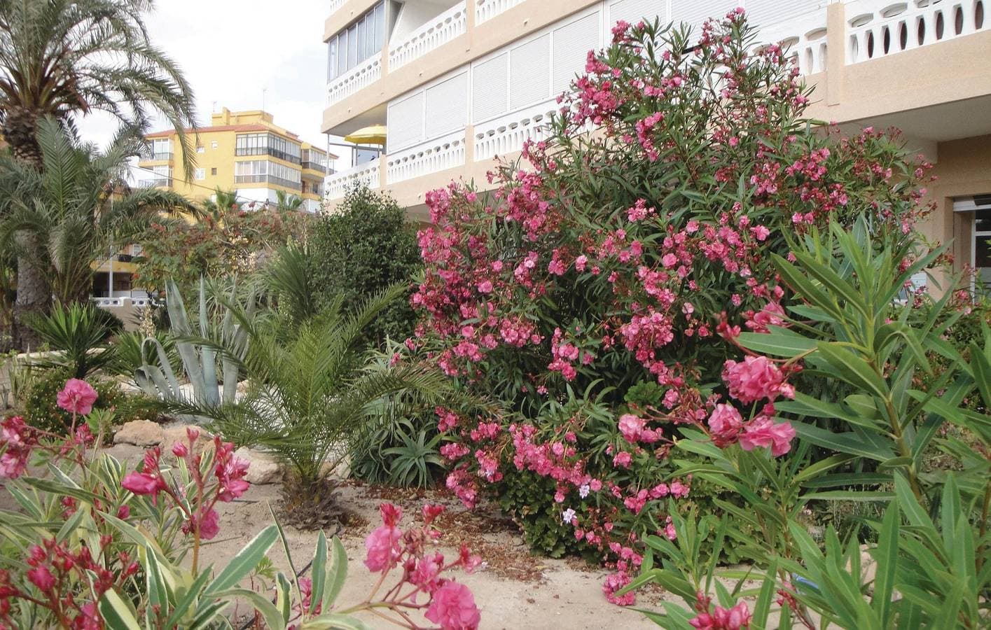 Foto 10 von 31: Apartment mit Meerblick, AC und Terrasse