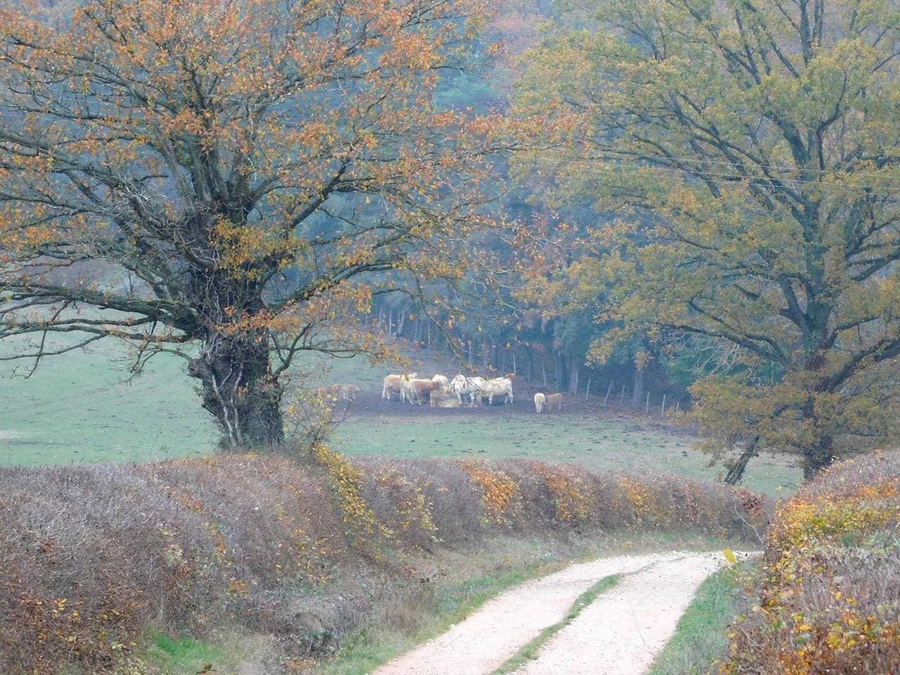 Foto 6 von 16: La Maladière