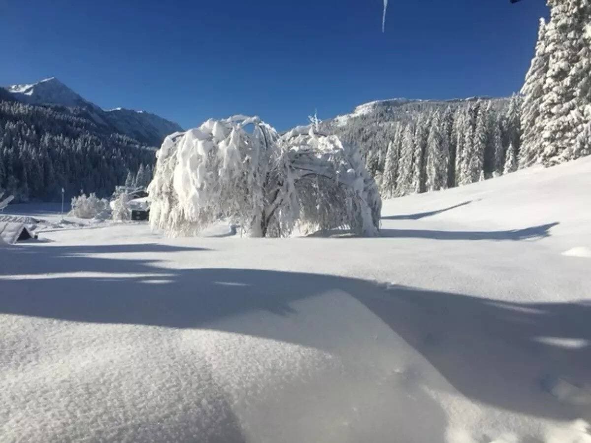 Foto 4 von 22: Ferienwohnung Fewo 2 am Auweg mit Bergblick, Gemeinschaftsgarten und WLAN