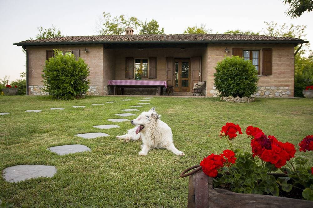 Foto 8 von 30: Typical Tuscan Cottage with swimming pool and park, five minutes from San Galgano