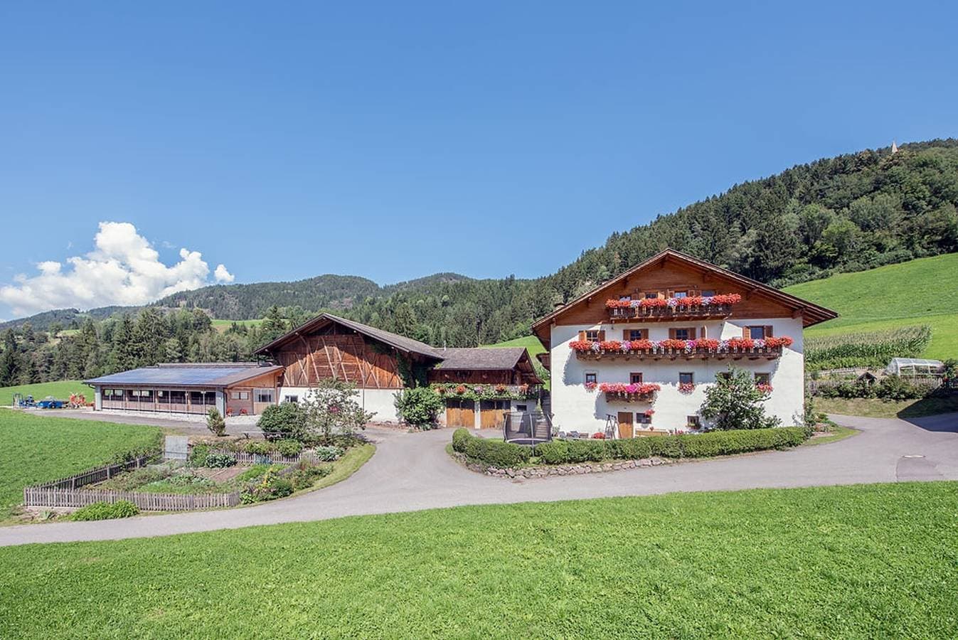 Oberglarzhof App Kirsch 1