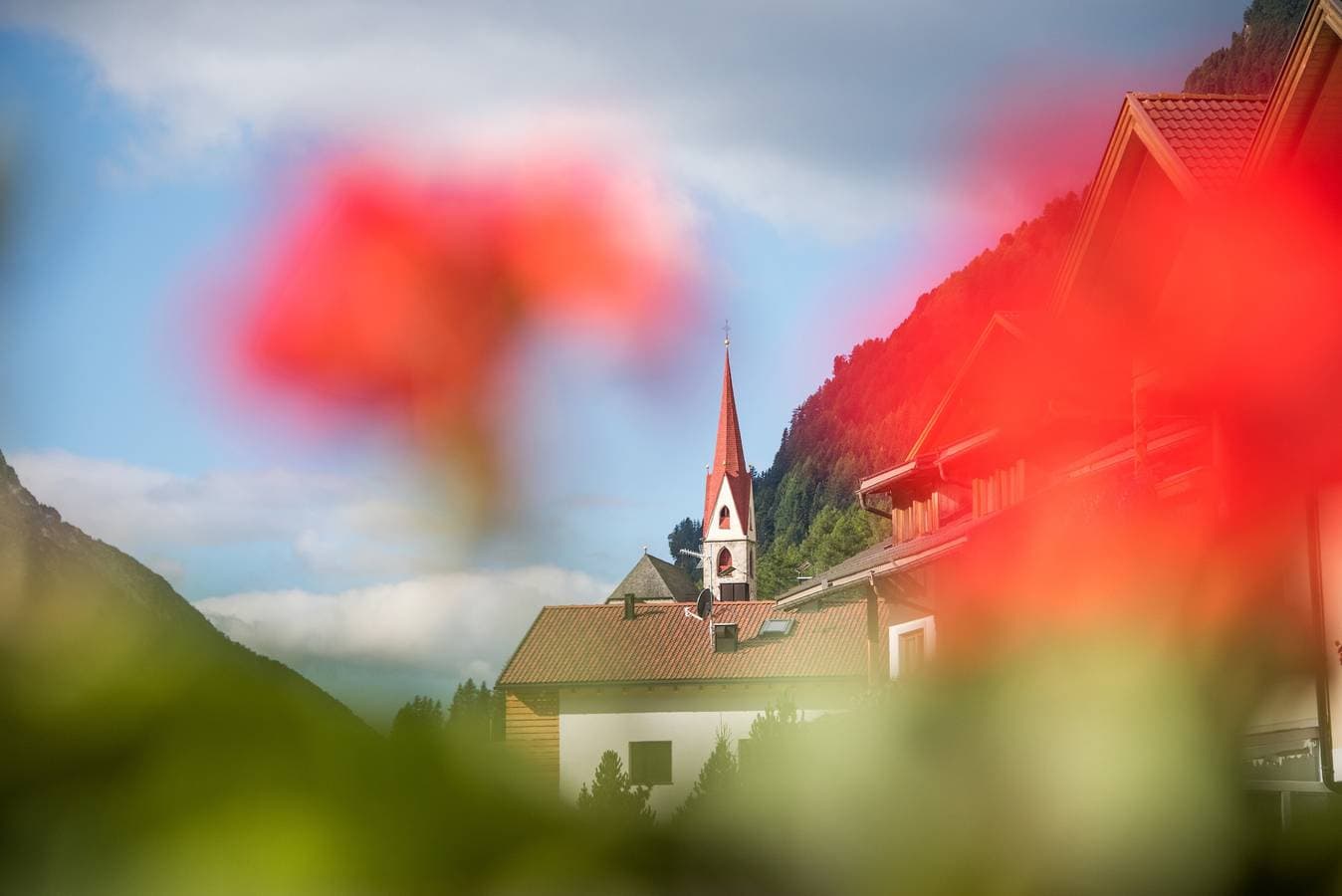 Foto 3 von 15: Ferienwohnung "Alpenblick Nr 8" mit Gemeinschaftsgarten und WLAN