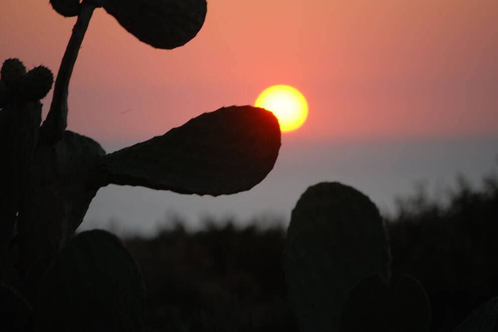 Foto 10 von 25: Casa Ruja - Der Sonnenuntergang über den Mündern
