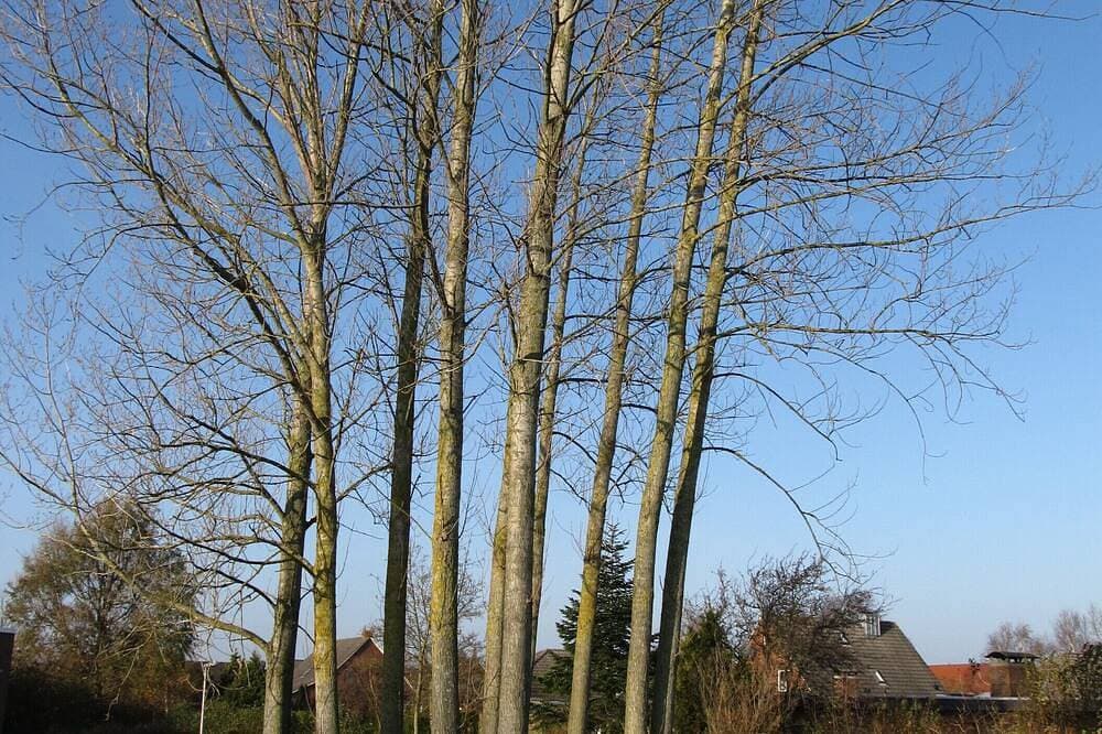 Foto 13 von 18: Ferienwohnung de Vries, direkt am Wellenpark