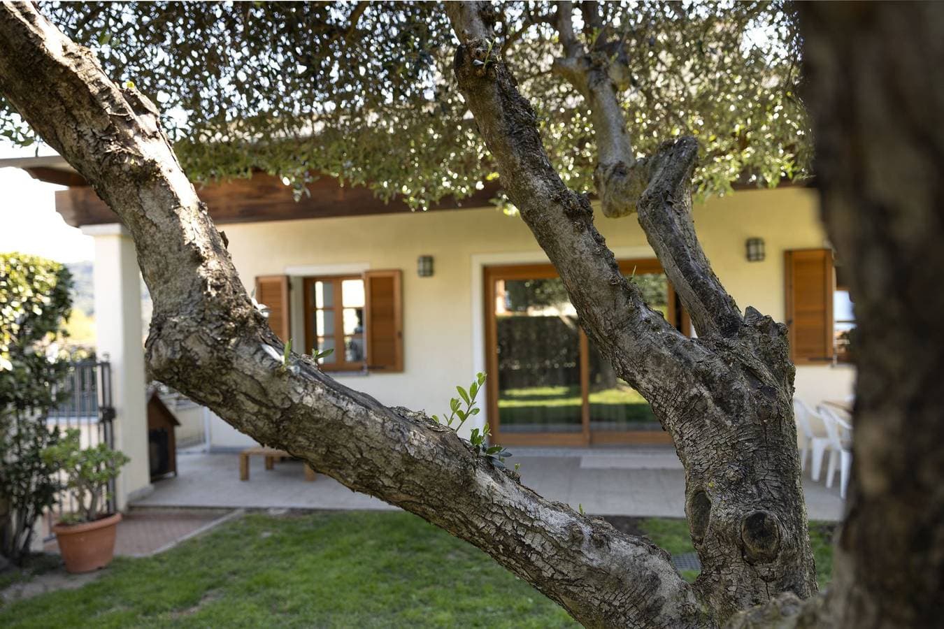 Foto 4 von 46: Villa für 6 Personen mit Garten