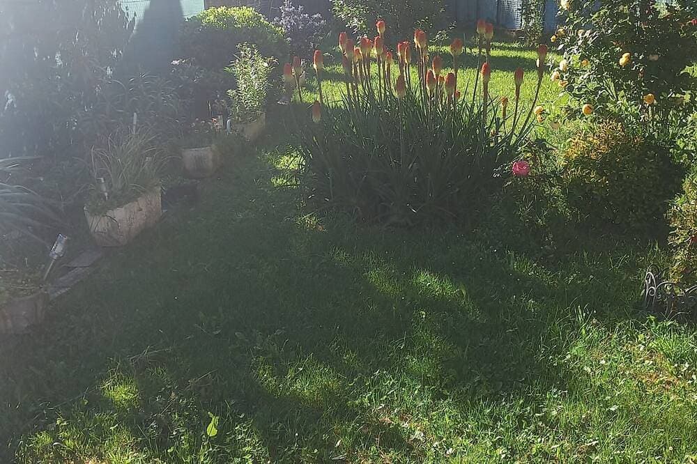 Foto 6 von 17: Charming downstairs villa