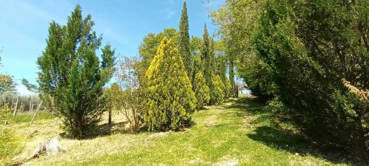 Foto 6 von 55: Villa with Garden View