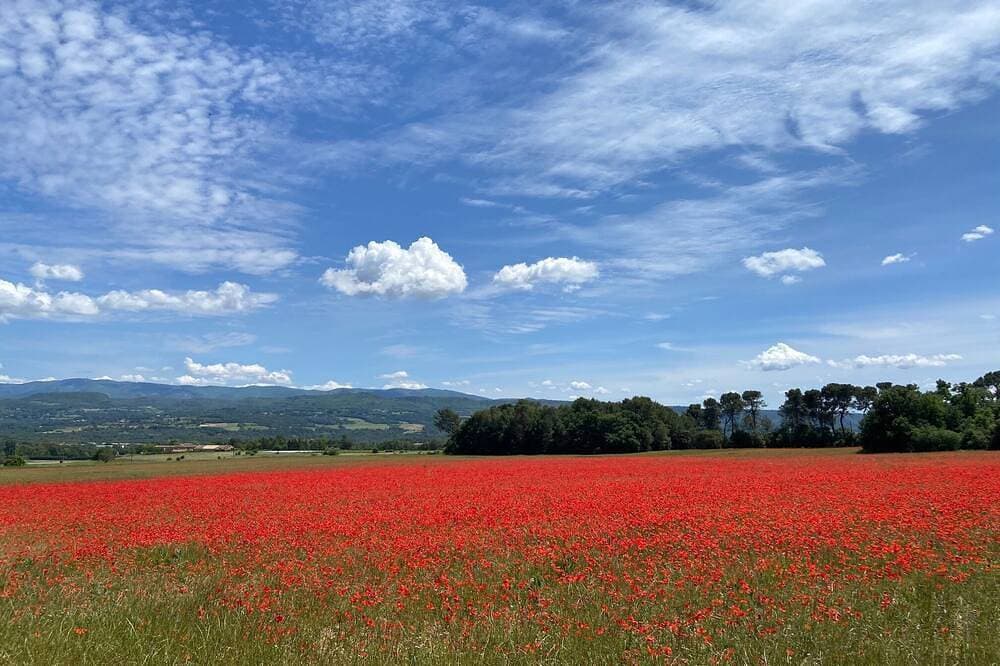 Foto 13 von 16: Le Mas Saint Joseph 19. Jahrhundert 1 km vom Dorf Roussillon gegenüber dem Luberon