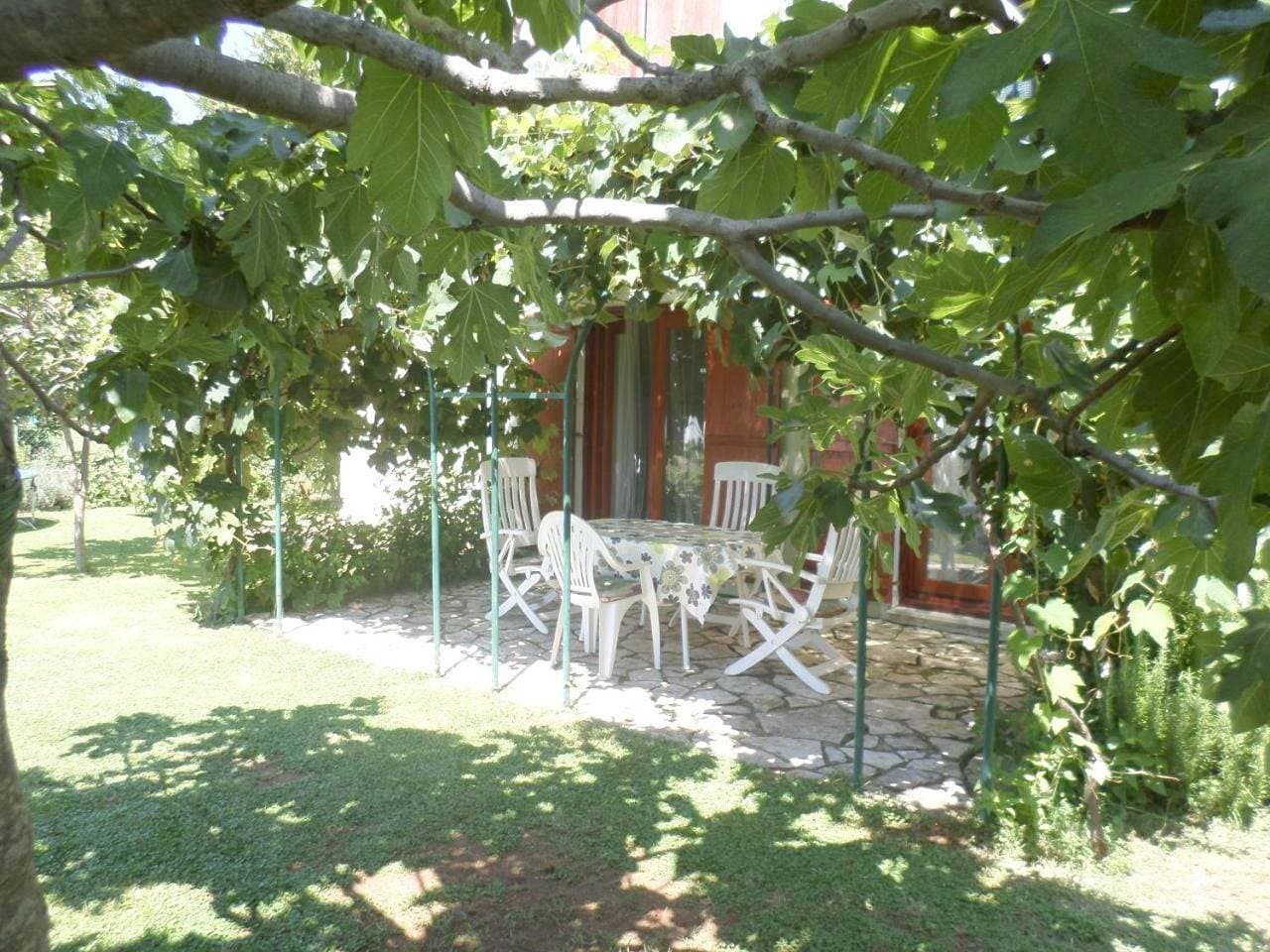 Foto 5 von 16: Apartment with Garden View