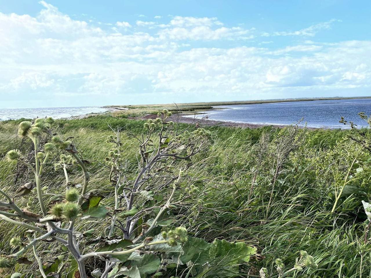 Foto 13 von 41: Helles Strandhaus