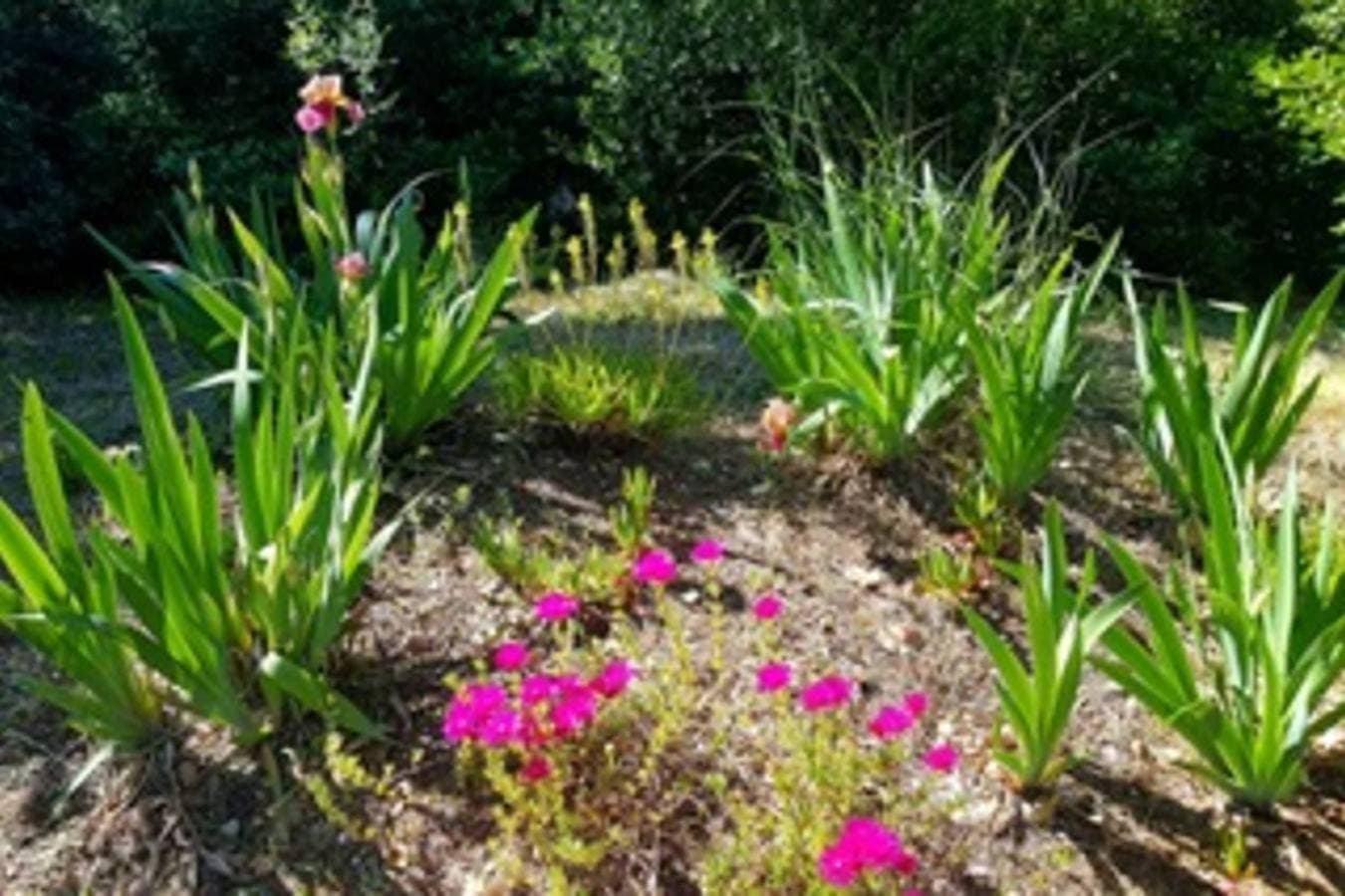 Foto 10 von 32: Ferienhaus für 4 Personen mit Garten