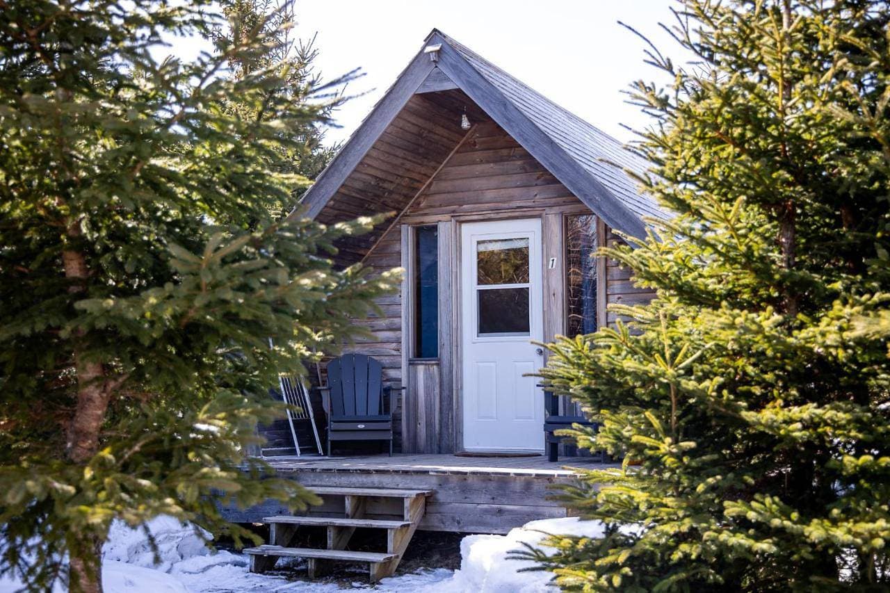 The Zzzz Moose Camping Cabins 1