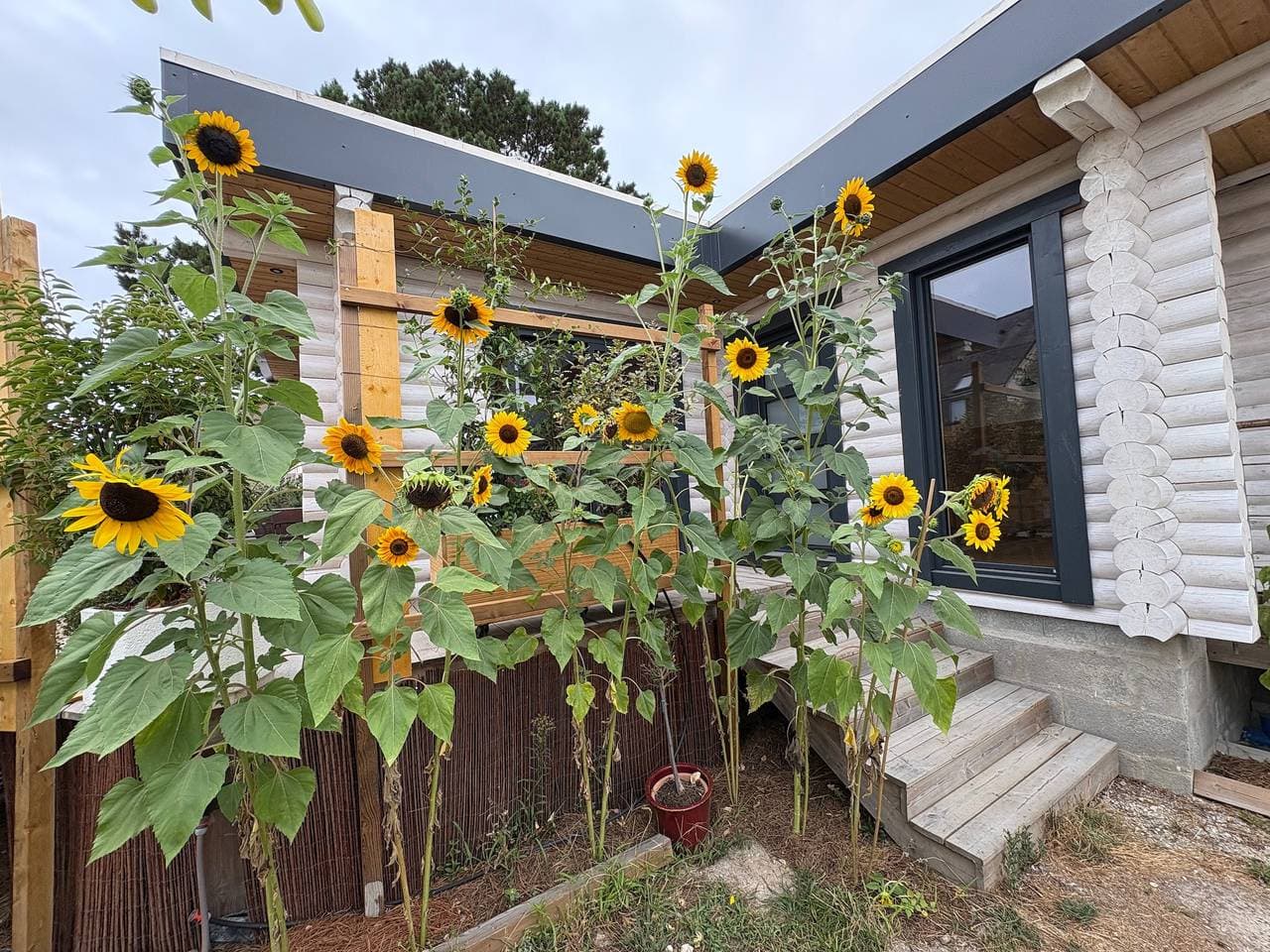 Maison écologique bois 300m océan 1