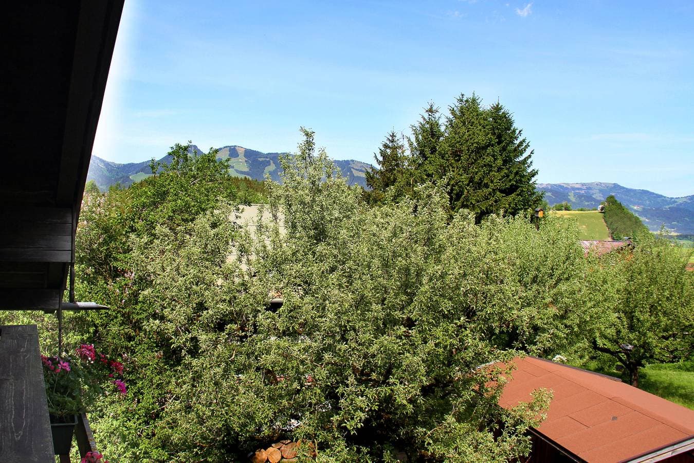 Foto 10 von 18: Edelweiß