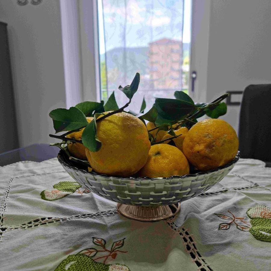 Foto 3 von 33: Holiday Home
