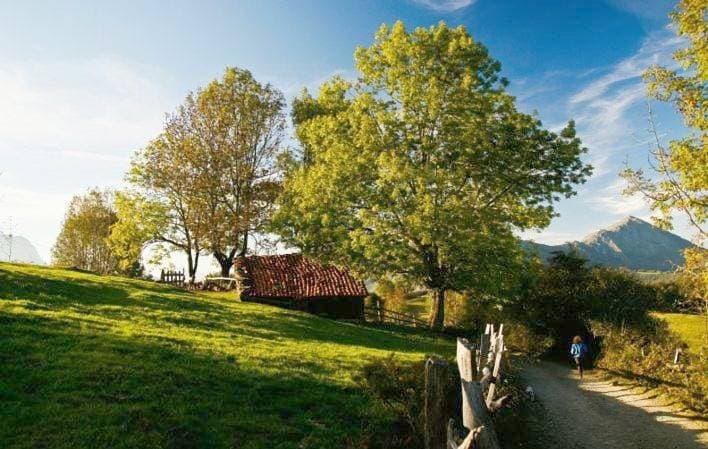 Foto 5 von 5: Holiday Home