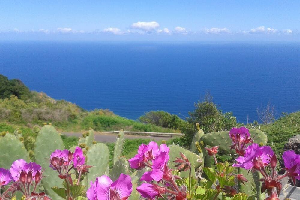 Foto 7 von 21: Finca El Lance die grüne Oase im Norden von Teneriffa