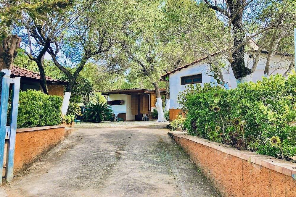 Foto 10 von 29: Blue Med Smurf, Palinuro, Cilento