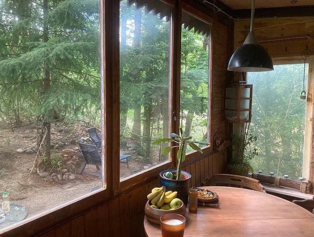 Foto 2 von 33: Gemütlicher Rückzugsort im Wald - direkt am Silbersee bei Coswig (Anhalt)