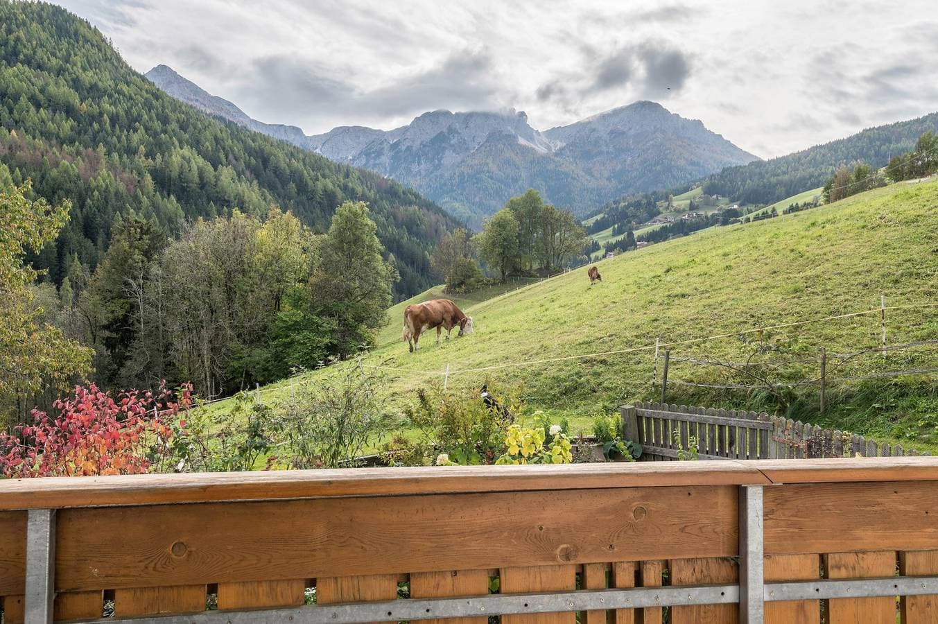 Foto 9 von 33: Ferienwohnung 'Kranebitterhof Edelweiss' mit Bergblick, Gemeinschaftsgarten und WLAN