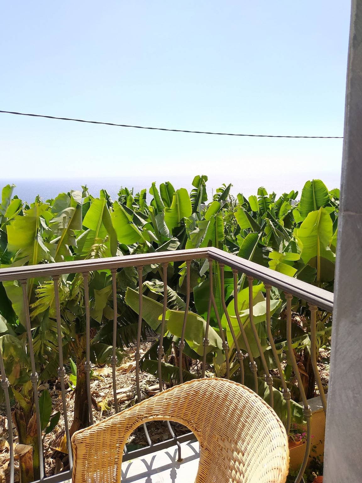 Foto 7 von 60: Caracol „Trail Mountain La Palma“ – neben Trébol
