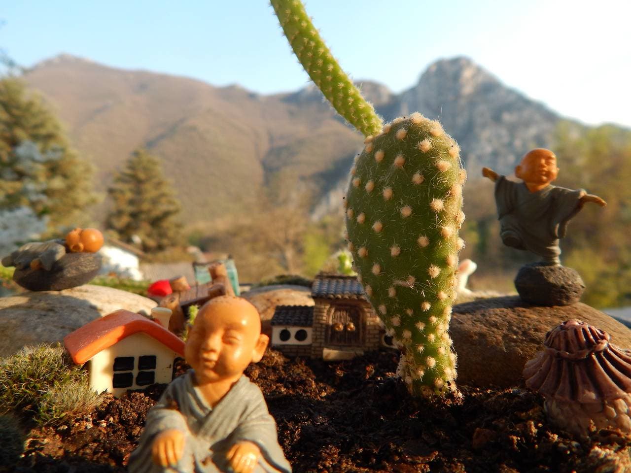 Foto 7 von 18: Studio für 5 Personen mit Garten