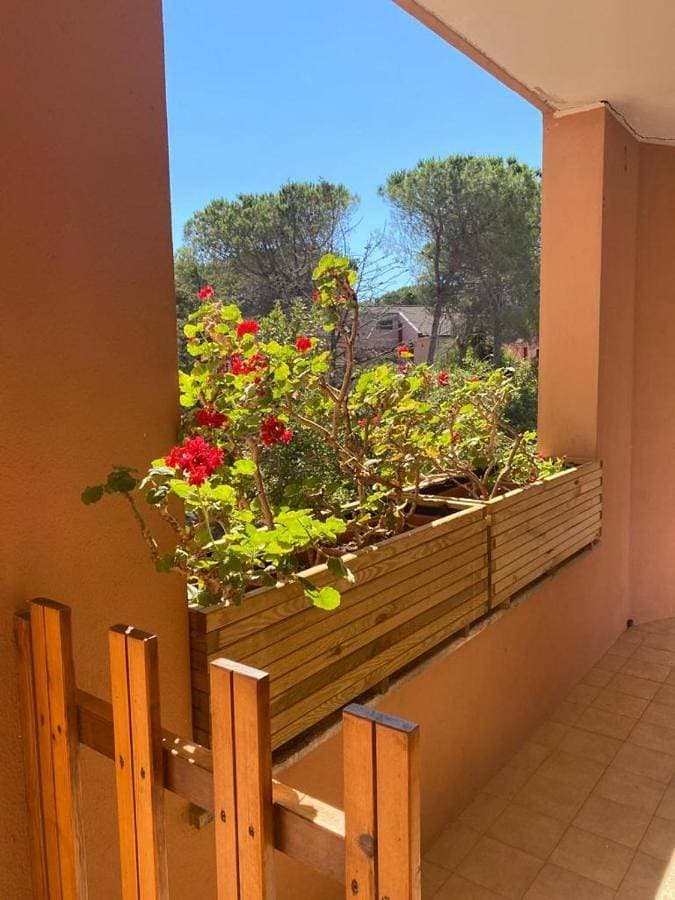 Arboria Sun & Sea - Pinewood View Apartment with AC & BBQ Garden 1