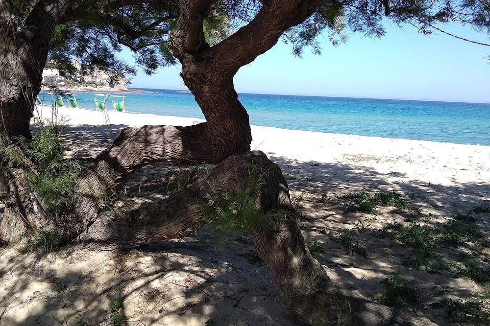 Foto 12 von 14: Penthouse Meer Korsika Algajola Balagne Ile Rousse
