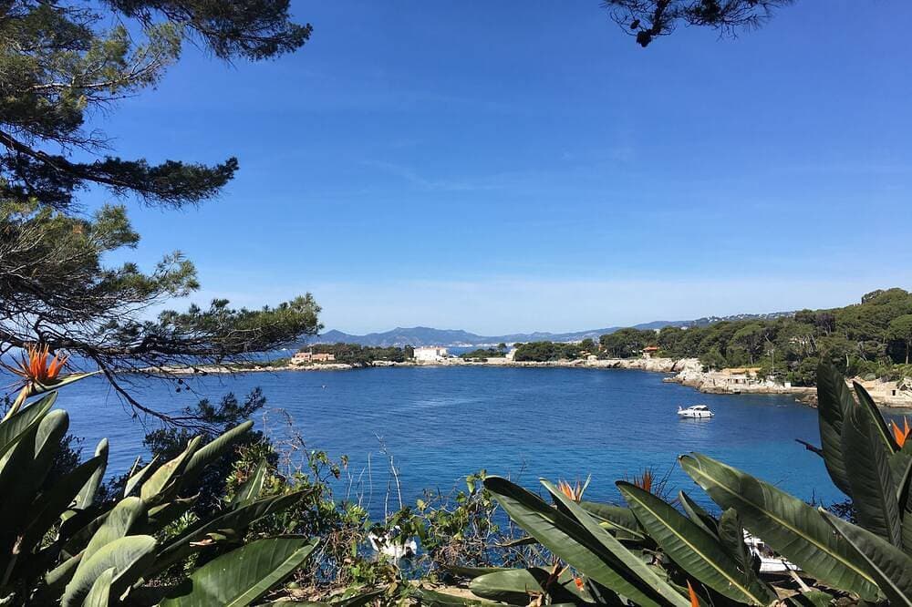 \"Poesie\" Schöne Wohnung im Herzen von Cannes Hochparterre entfernt 1
