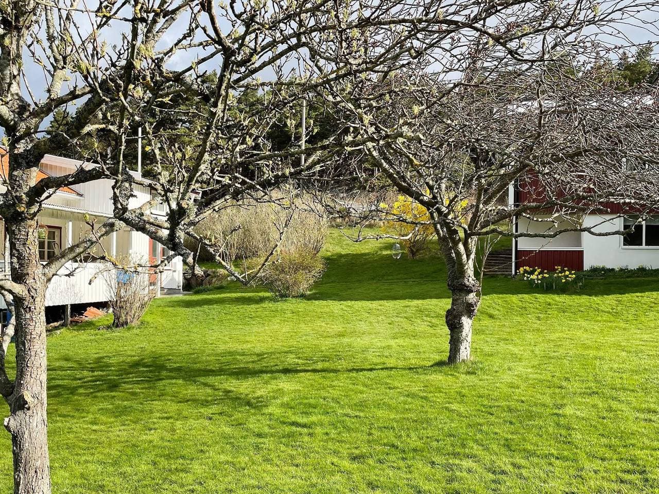 Foto 3 von 21: 4 Personen Ferienhaus in Hakenäset