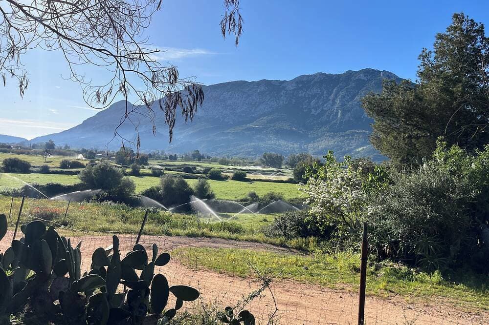 Foto 6 von 11: Casa Vacanza Funtanarva in Campagna