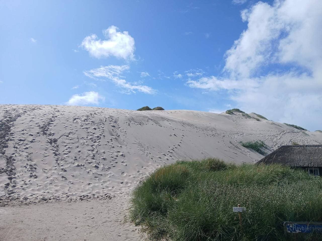Foto 10 von 36: Gemutliches Dunenhutten-Refugium