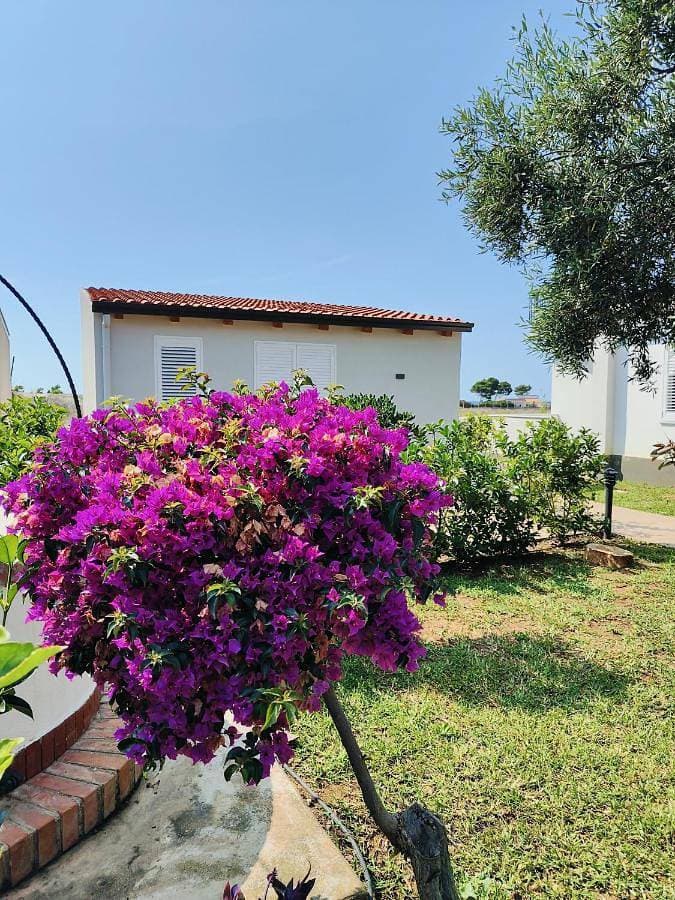 Foto 4 von 48: Apartment with Garden View