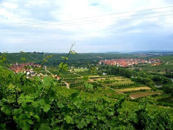 Foto 3 von 10: Ferien- und Winzerhof Ute Braun - Ferienstudio Vinzenz mit Balkon
