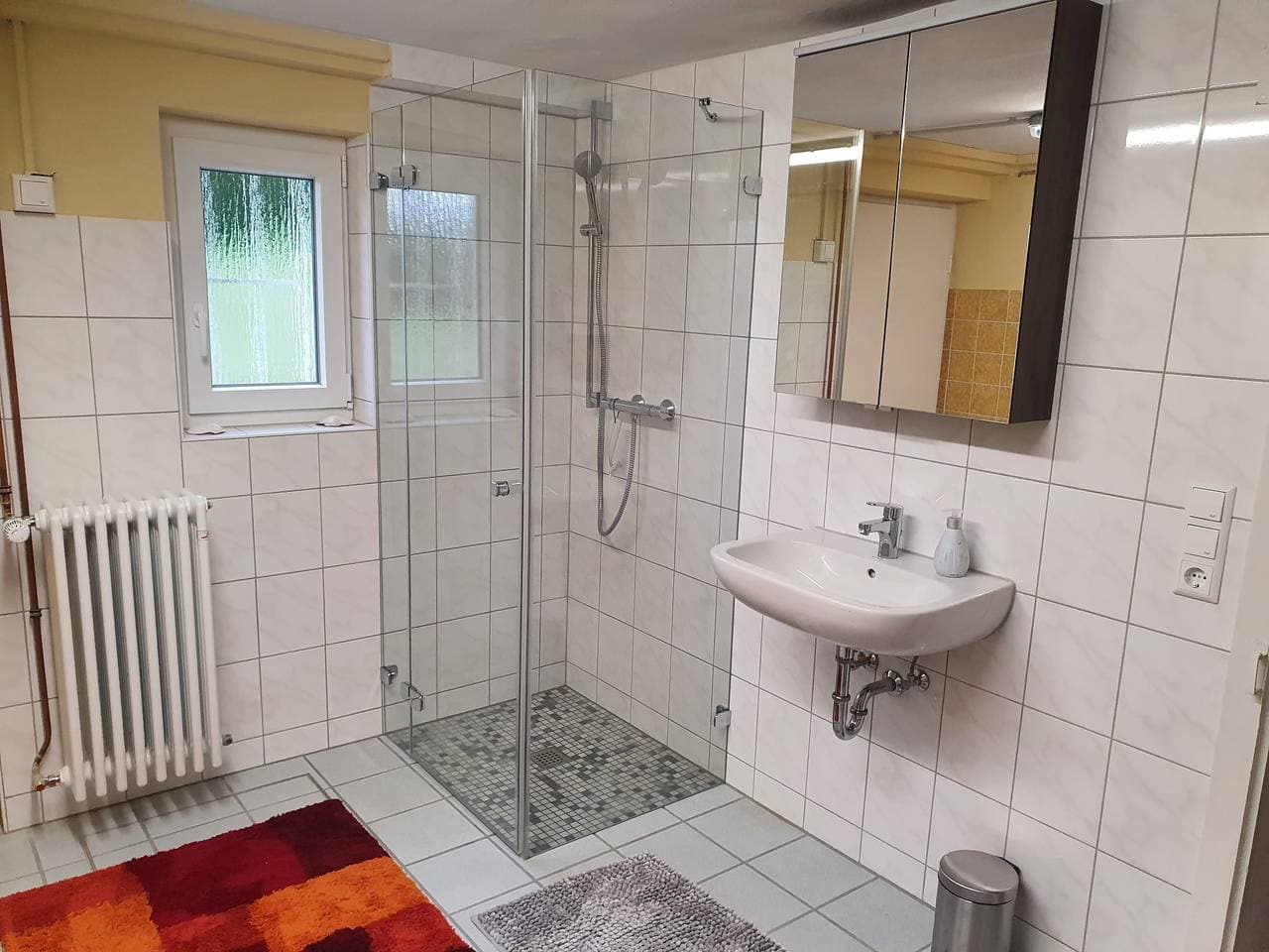 Foto 12 von 13: Ferienwohnung Seegarten - Souterrain Ferienwohnung, 50qm, 1 Schlafnische, 1 Schlafcouch. 1-2 Personen