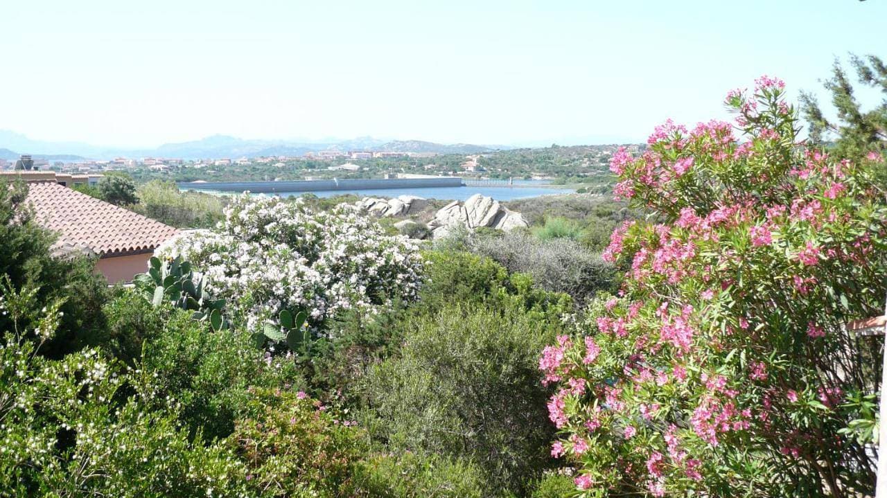 Foto 8 von 48: Villa with Sea View