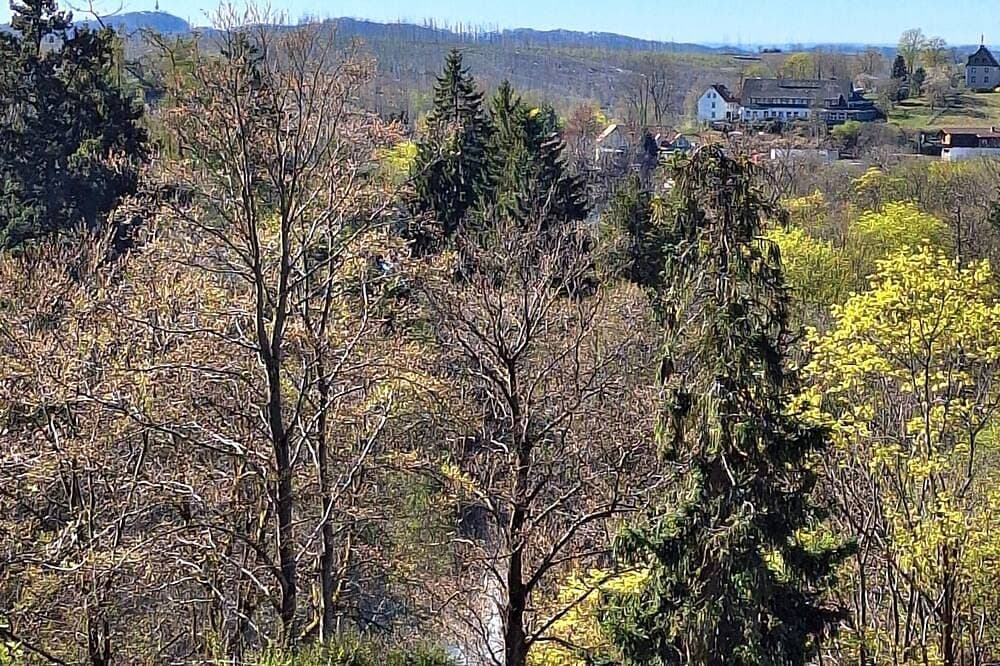 Foto 9 von 11: Fewo Zimt und Zucker mit Blick in die Berge