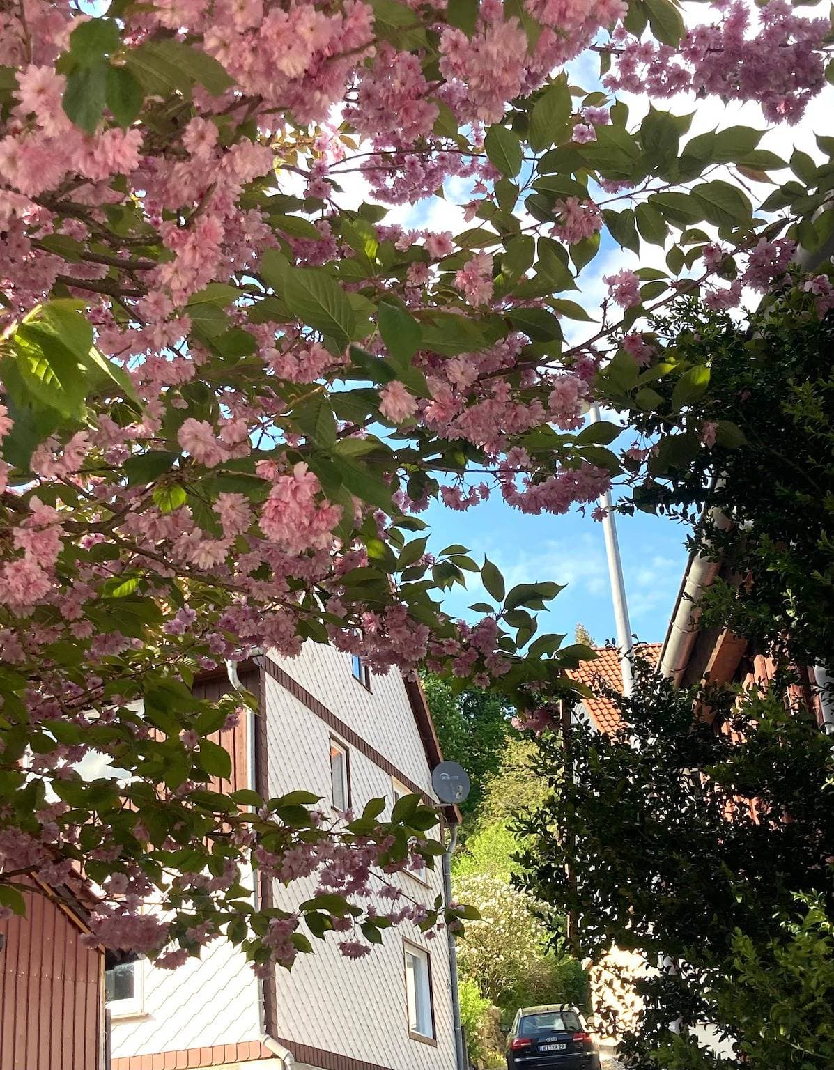 Foto 13 von 37: Ferienwohnung "Rübeland" mit Bergblick, Gemeinschaftsgarten und WLAN