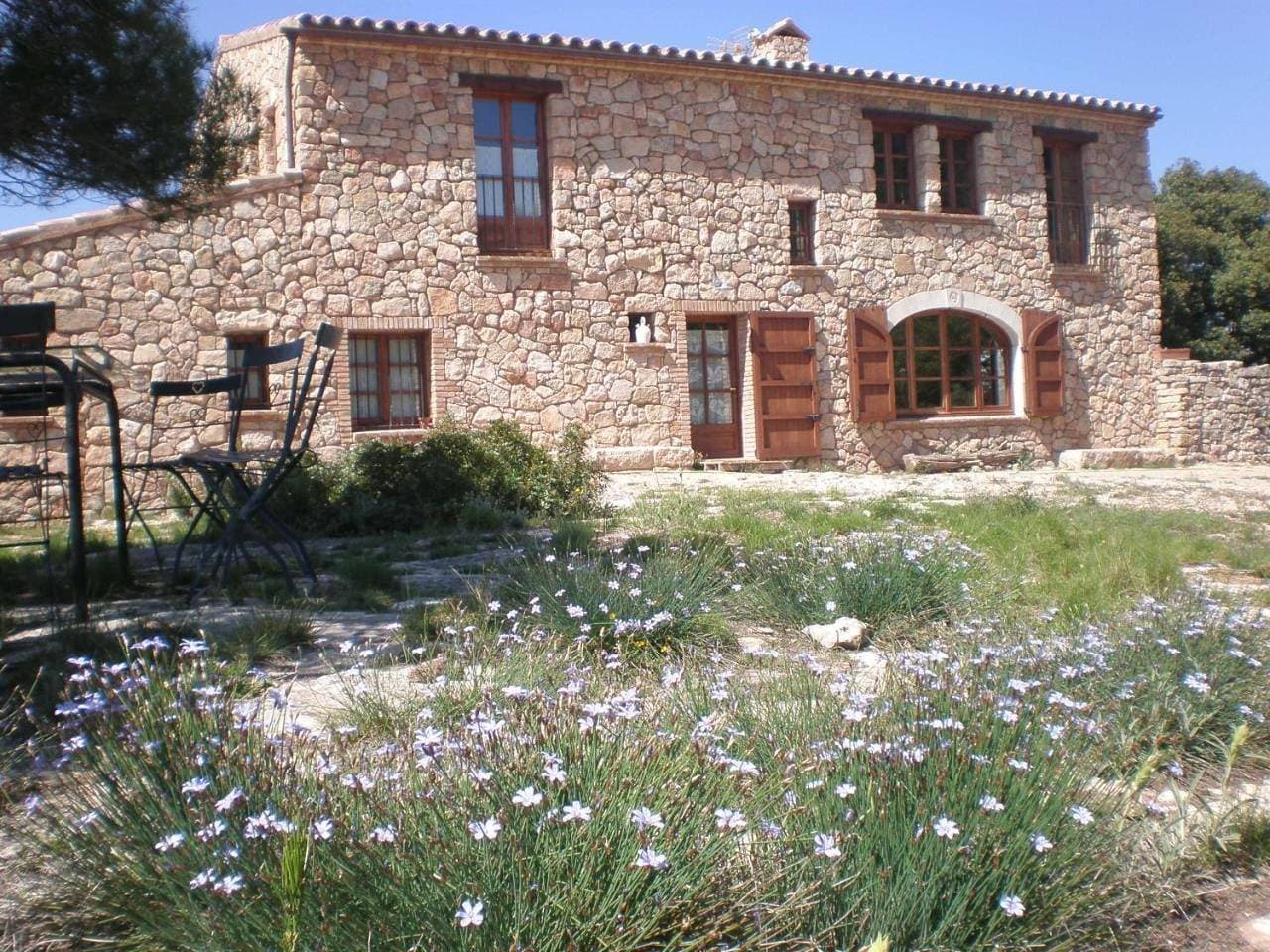 Mas del Salin 1