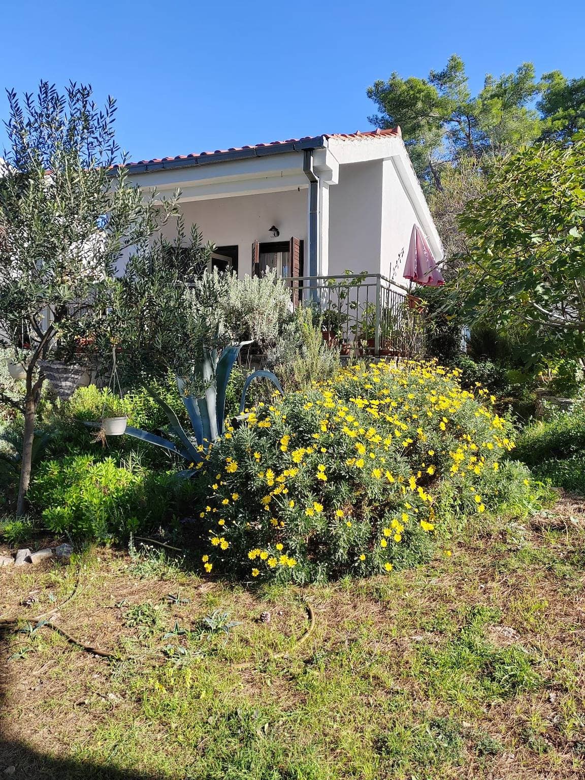Foto 4 von 18: 1-Zimmer-Haus am Strand Maslinica, Solta K-23755