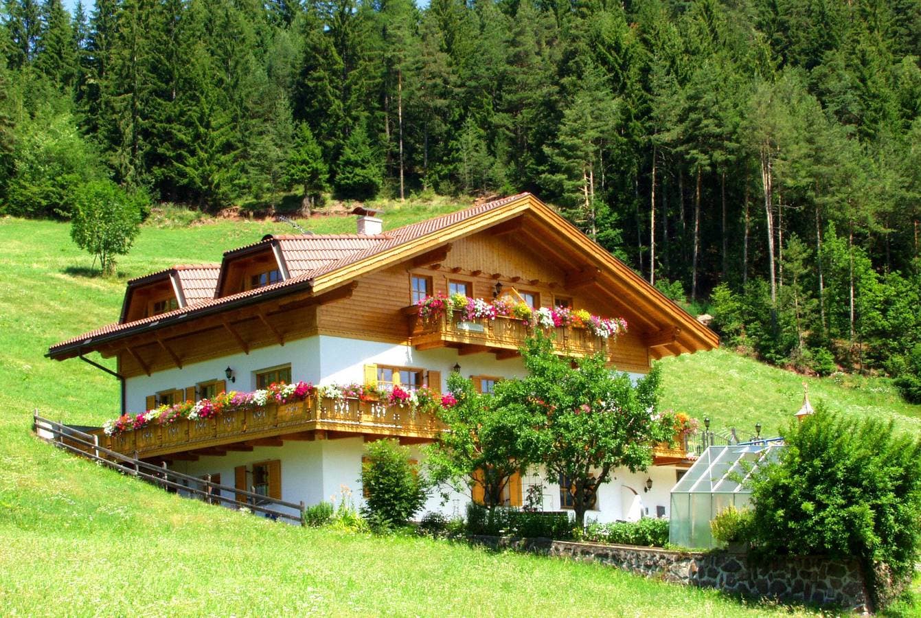 Bergblick App Lärche 1