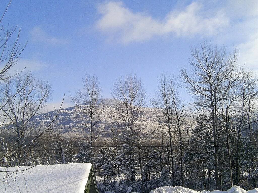 Killington/ Rutland 2 bedroom Cabin, cabin #4 1