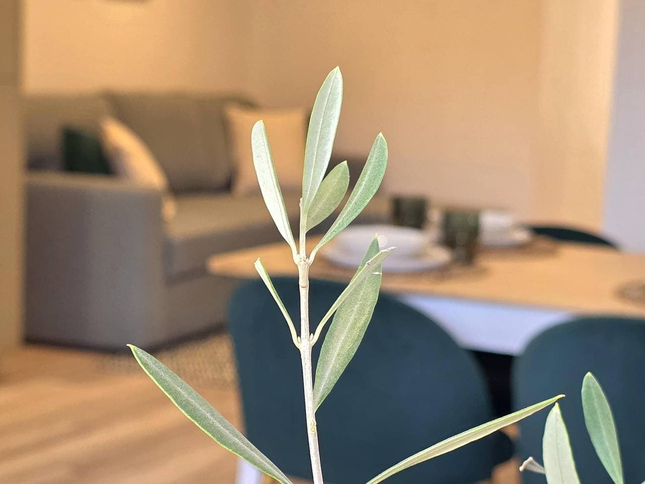 Ferienwohnung 45m² 1
