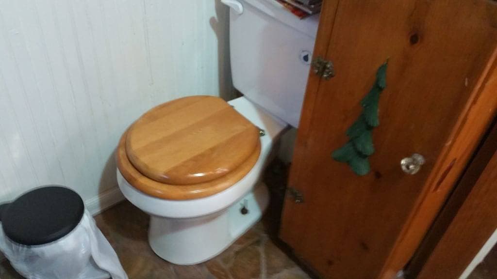 Foto 8 von 28: Die historische Stansfield Cabin mit Wi-Fi