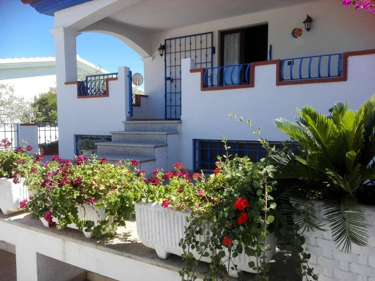 Casa Carta 1